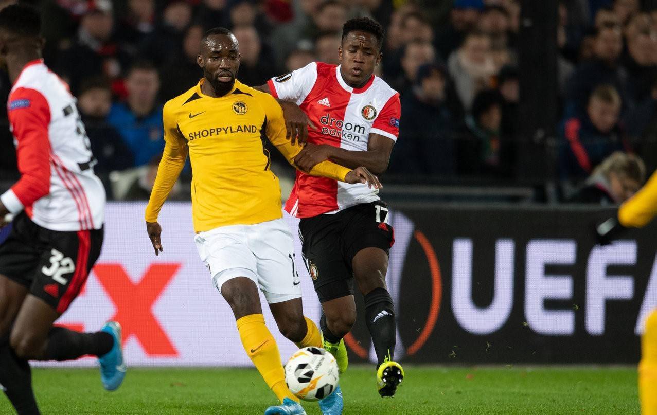 本年度的羽 本年度的羽