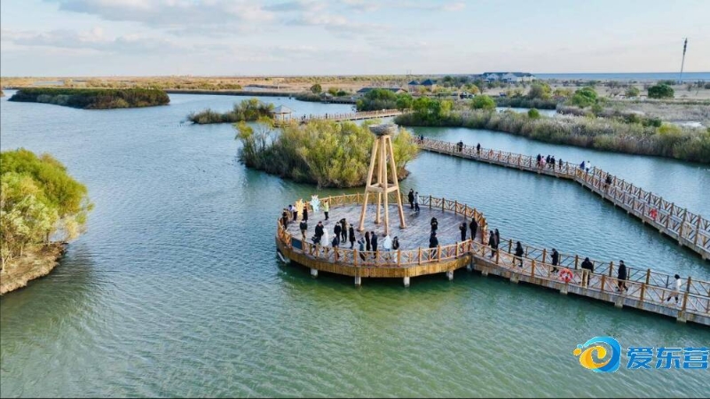 的队友们在 的队友们在