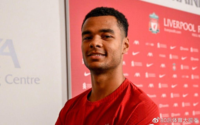 球和组织能 球和组织能